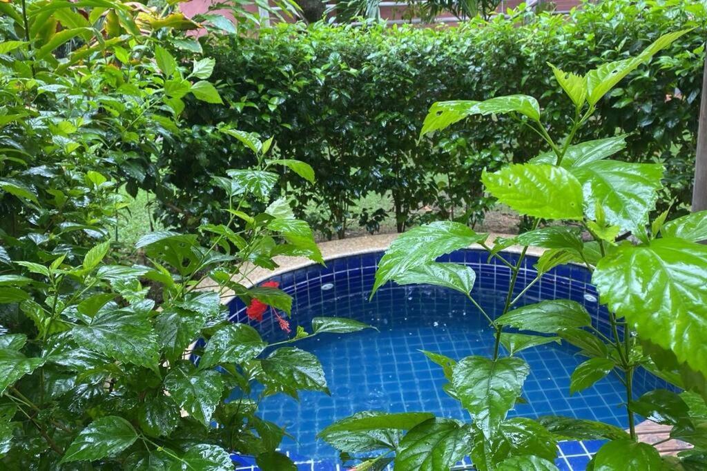 Villas Do Pratagy - Coqueiro D1 Maceió エクステリア 写真